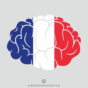 Französische Flagge Gehirn Silhouette