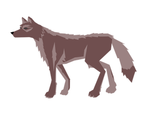 Brown wolf