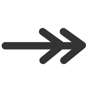 Ligne double ligne flèche extrémité icône