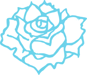 Vector illustration of full bloom rose in blue outline