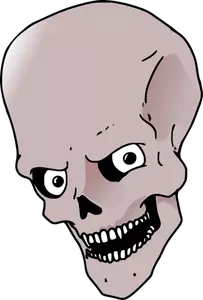 High forehead skull vector drawing