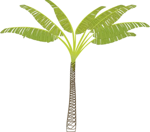 Vector afbeelding van tropische palmboom