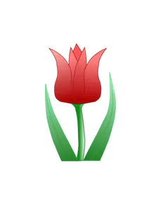 Tulip flower vector clip art