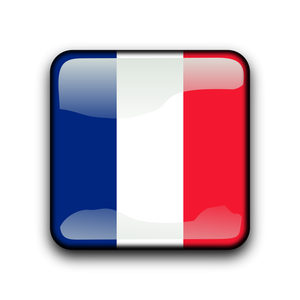 French Guiana flag button