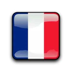 Fransk Guyana flagg-knappen