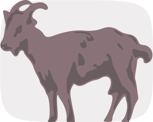 Goat vector image