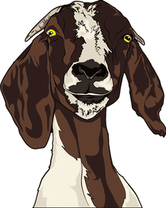 dairy goat clipart