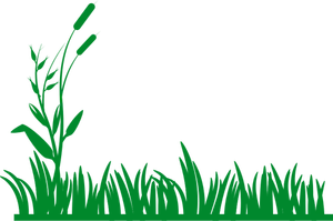 Grafica vettoriale della priorità bassa dell'erba