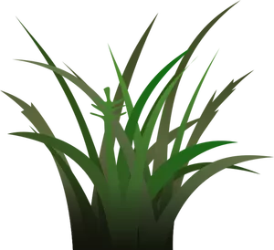 Frunziş banner vector imagine