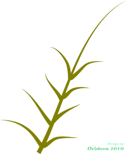 Grafica vettoriale di pianta verde che cresce al lato