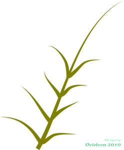 Vector graphics of green plant growing to the side