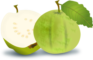 Immagine di vettore di guava