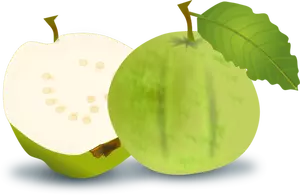 Guava vektorbild