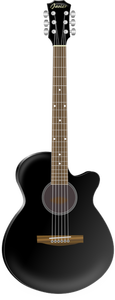 Siyah akustik gitar