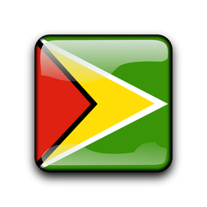 Guyana flag button