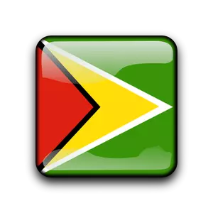 ガイアナの旗ボタン