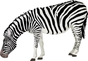 Vektor gambar Fotorealistik Zebra