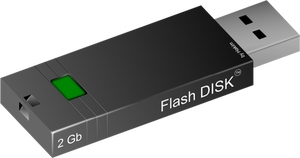 Immagine vettoriale disco flash di 2GB