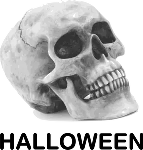 Halloween skallen vektor image