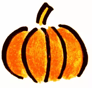 Gewoon zwart en oranje pompoen vector afbeelding