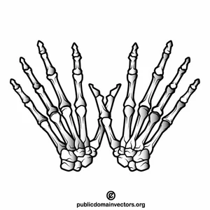Hands skeleton