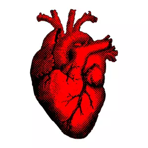 Kırmızı kalp vektör simgesi