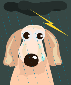 Perro triste bajo la lluvia