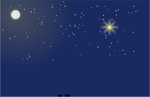 Vector graphics of skies with shiny star