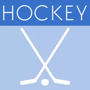 Vector illustration of hockey game icon