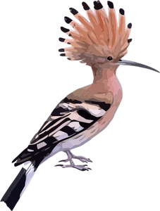 Hoopoe-lintu