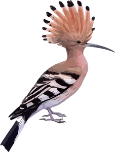 Hoopoe-lintu
