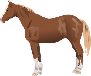Vector illustration of horse standing