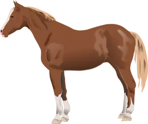 Vector illustration of horse standing
