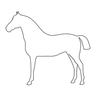 Vector illustration of standing horse outline