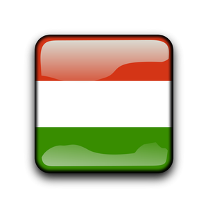 Pulsante bandiera vettoriale di Ungheria