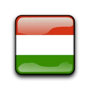 Hungary vector flag button