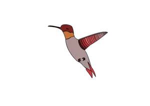 Vector image of flying humming bird