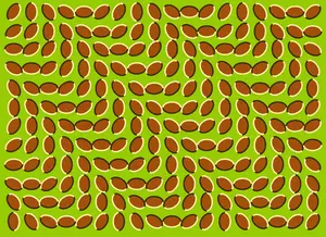 Imagem de grãos de café, formando uma ilusão de óptica