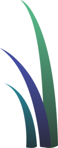 Immagine di tre foglie di erba colorata