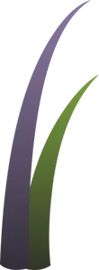 Vector de dibujo de la planta de color púrpura y verde llmenskie