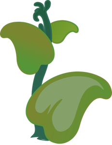 Ilmenskie Zutto plant vector graphics