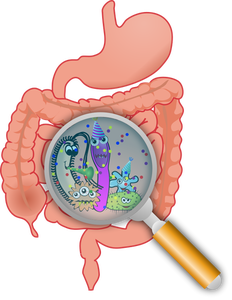 Fiesta en la ilustración del vector de intestinos