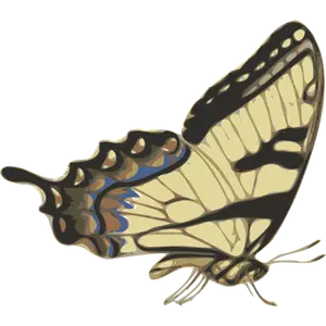 Side view of brown butterfly vector image