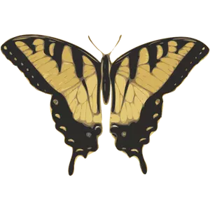 Vector bildet av tiger mønster sommerfugl