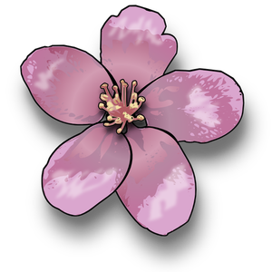Apple blossom vector illustraties