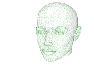 Female web head vector illustration