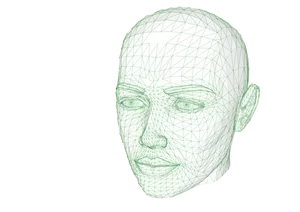 Ženský web hlavy vektorové ilustrace