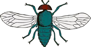 Vector illustration of bluebottle fly