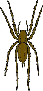 Vektor-Illustration von Braun Spinne