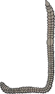Vektor ilustrasi dari cacing tanah